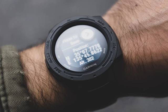 Garmin